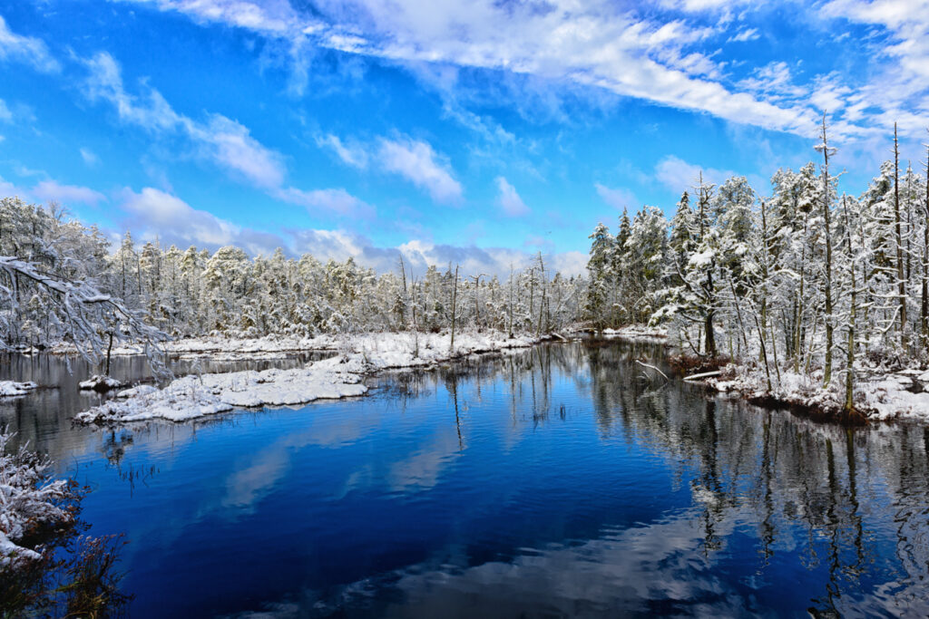 pine-lands-snow-