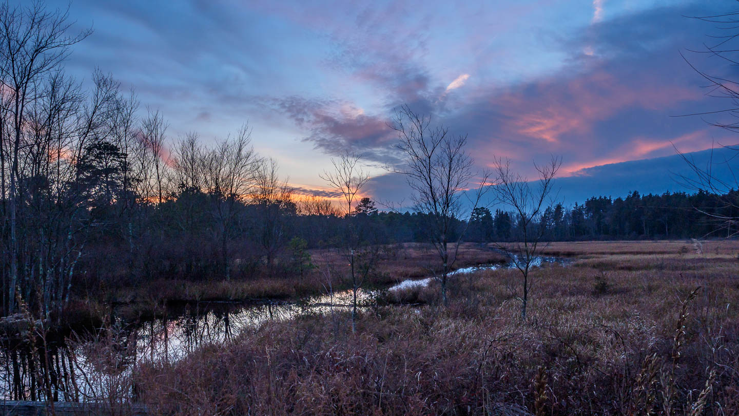 Sunrise In The New Jersey Pinelands - Richard Lewis Photography